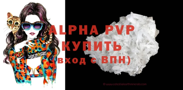 прущие грибы Надым