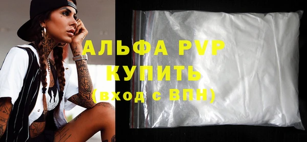 прущие грибы Надым