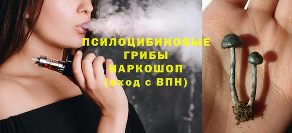 прущие грибы Надым
