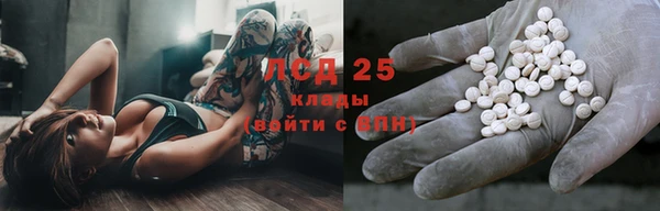 прущие грибы Надым