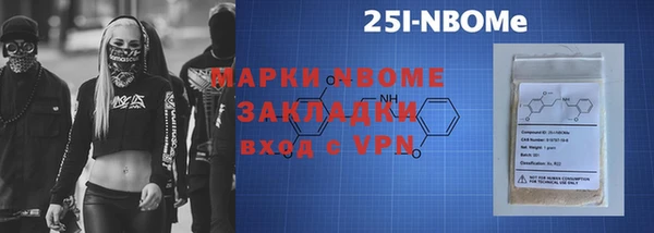 прущие грибы Надым