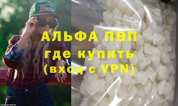 прущие грибы Надым