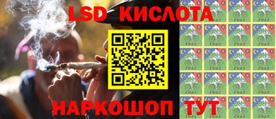 спайс Аргун