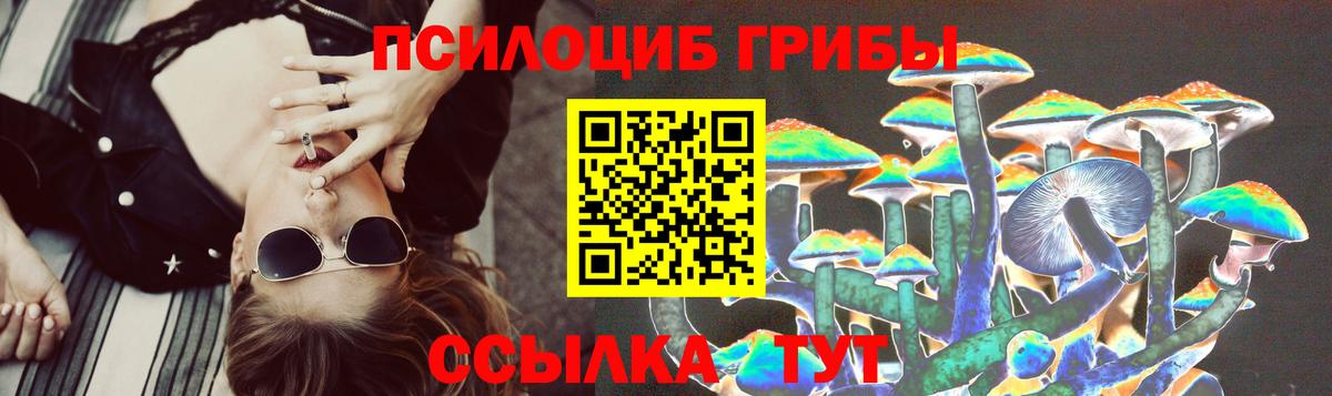 Галлюциногенные грибы GOLDEN TEACHER Балабаново